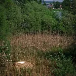 Apartment Maya - Kasjotten, Skjetten Lillestrom