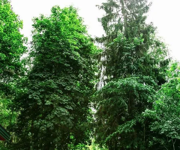 Apartment Maya - Kasjotten, Skjetten Lillestrom