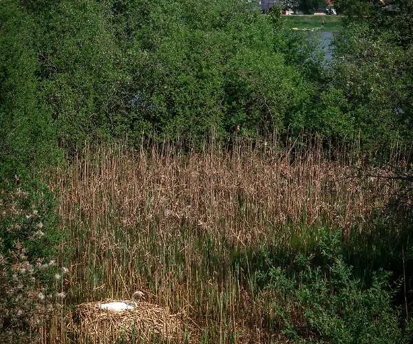 Appartement Maya - Kasjotten, Skjetten Lillestrøm
