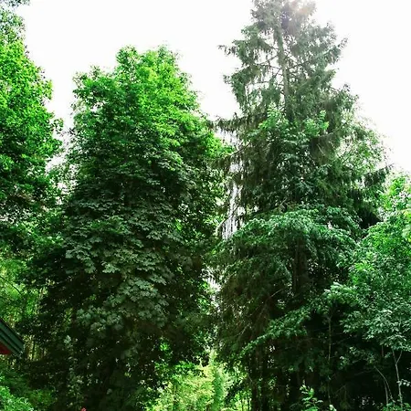 Apartman Maya - Kasjotten, Skjetten Lillestrøm