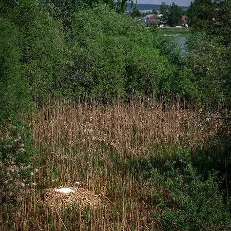 Apartman Maya - Kasjotten, Skjetten Lillestrøm