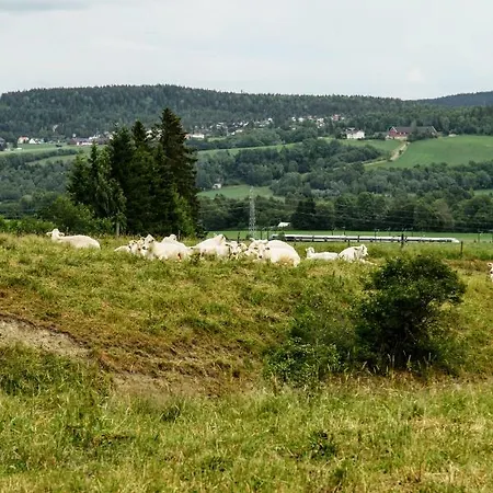Apartman Maya - Kasjotten, Skjetten *